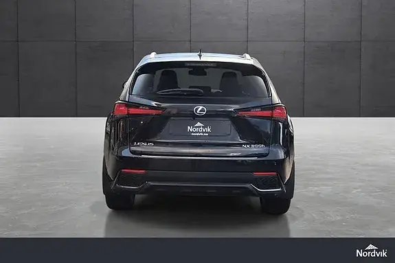 Lexus Nx300H 2021 photo 4