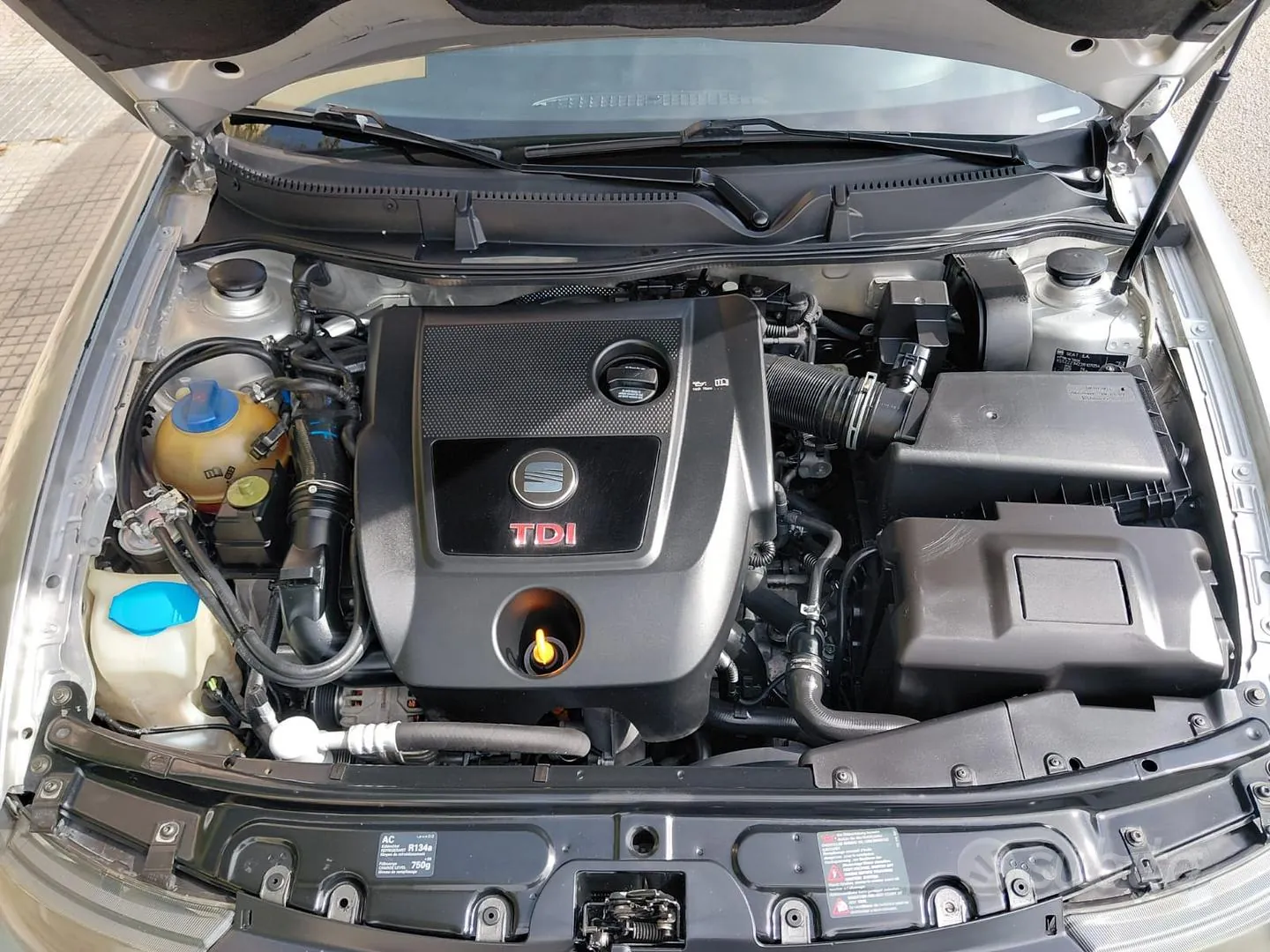Seat Leon Cupra 2002 photo 5
