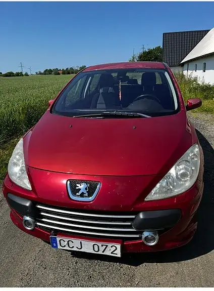 Peugeot 307 2007 photo 3