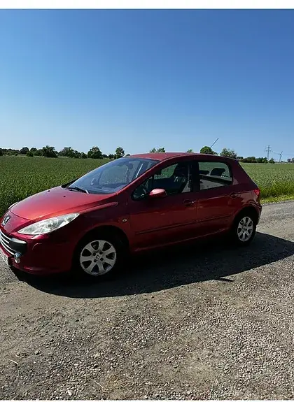 Peugeot 307 2007 photo 2