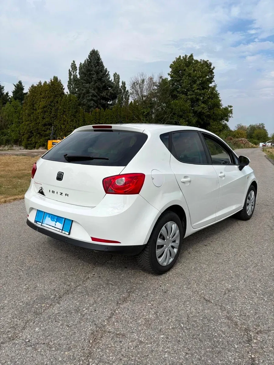 Seat Ibiza 2008 photo 3