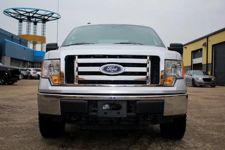 Ford F-150 2010 photo 2