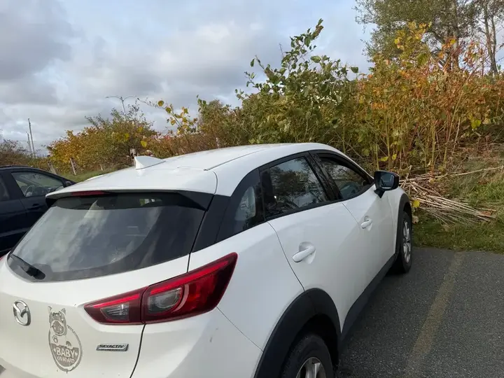 Mazda Cx-3 2020 photo 5