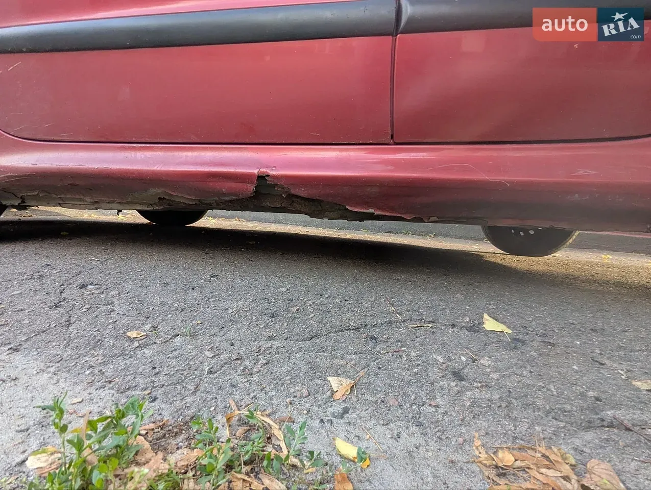 Peugeot 206 2003 photo 4