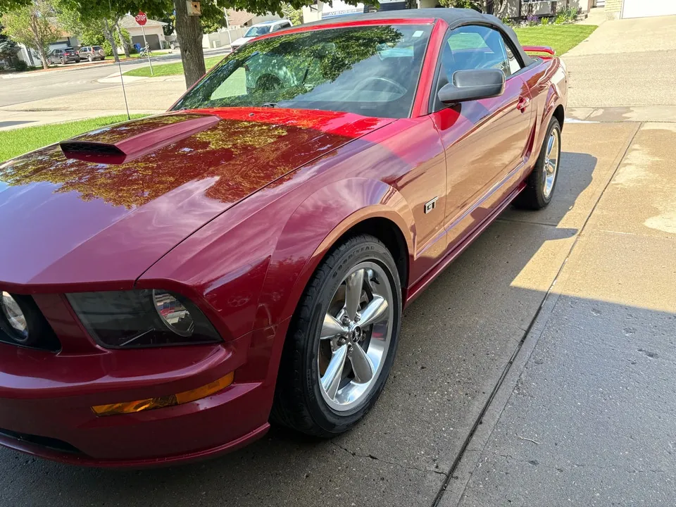 Ford Mustang 2008 photo 3