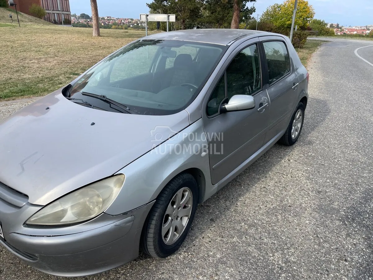 Peugeot 307 2002 photo 2