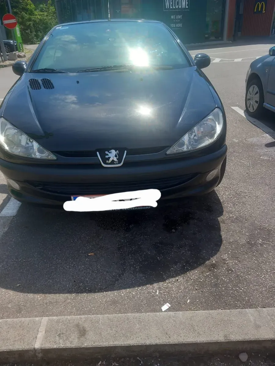 Peugeot 206 2001 photo 2