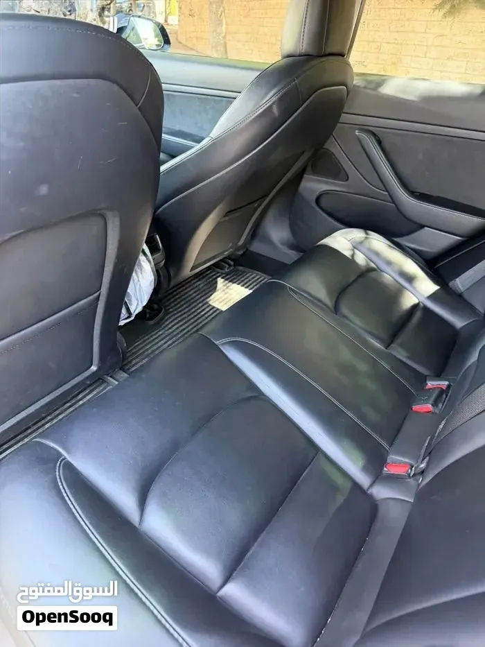Tesla Model 3 2021 photo 2