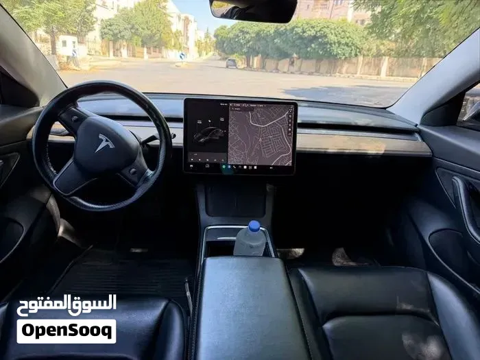 Tesla Model 3 2021 photo 3