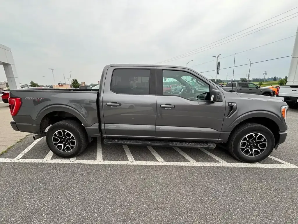 Ford F-150 2023 photo 4