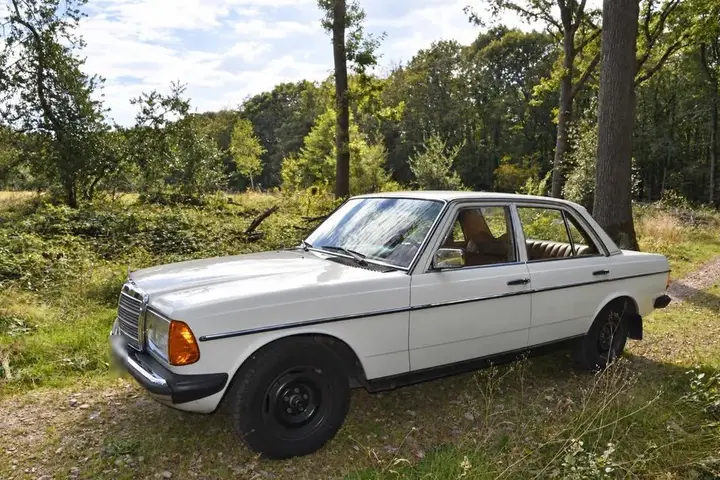 Mercedes-Benz 230