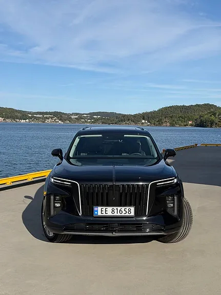 Hongqi E-Hs9 2022 photo 3