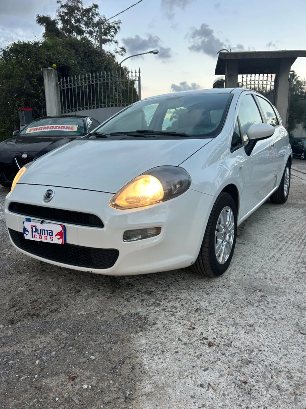 Fiat Punto Evo
