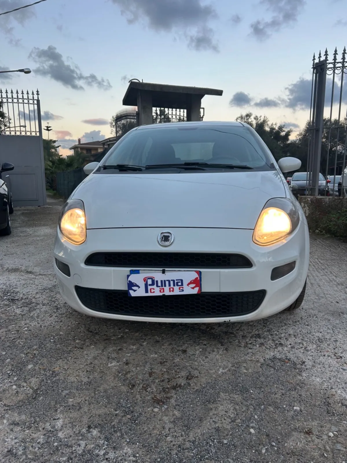 Fiat Punto Evo 2012 photo 2