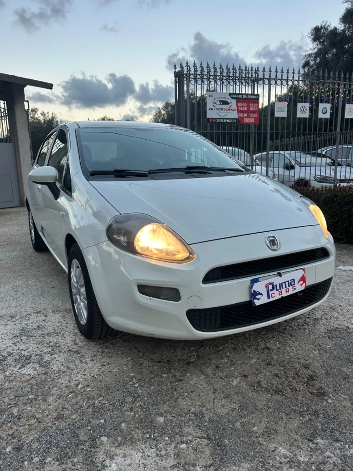 Fiat Punto Evo 2012 photo 3