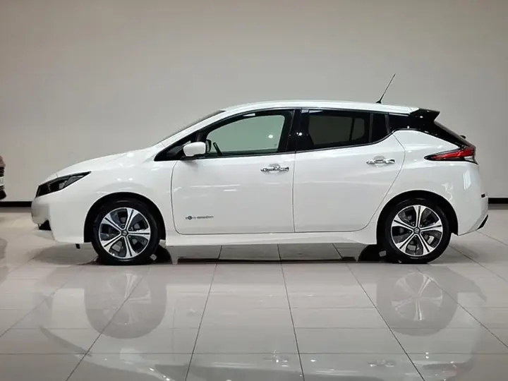 Nissan Leaf 2019 photo 4