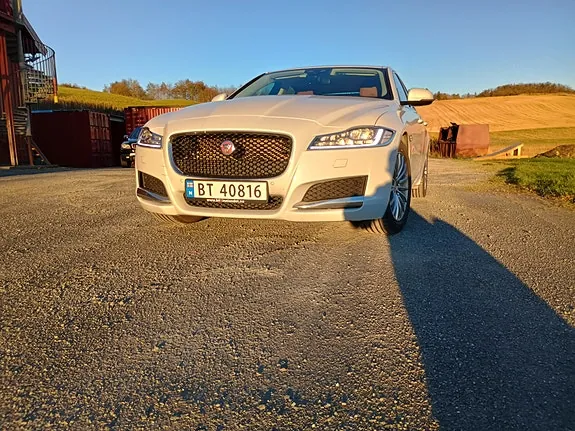 Jaguar Xf