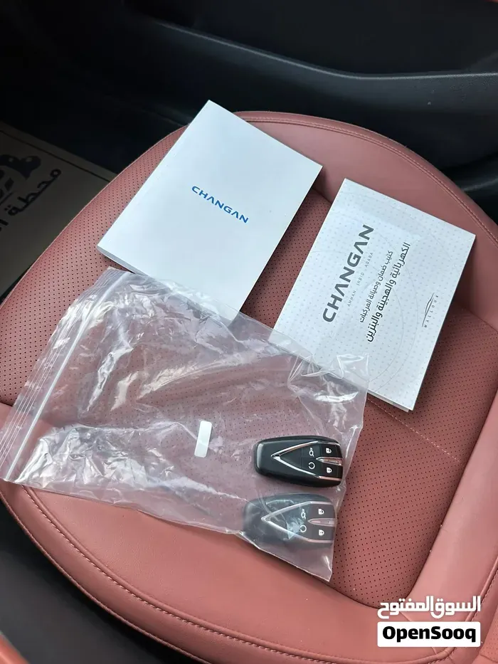Changan Eado Ev 2026 photo 3