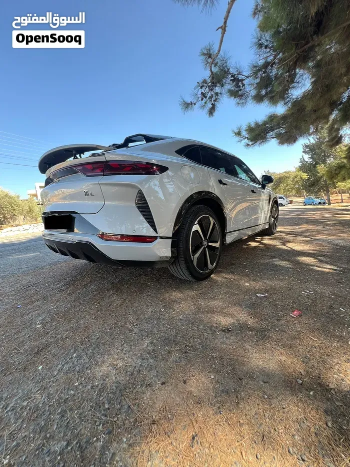 BYD Song L