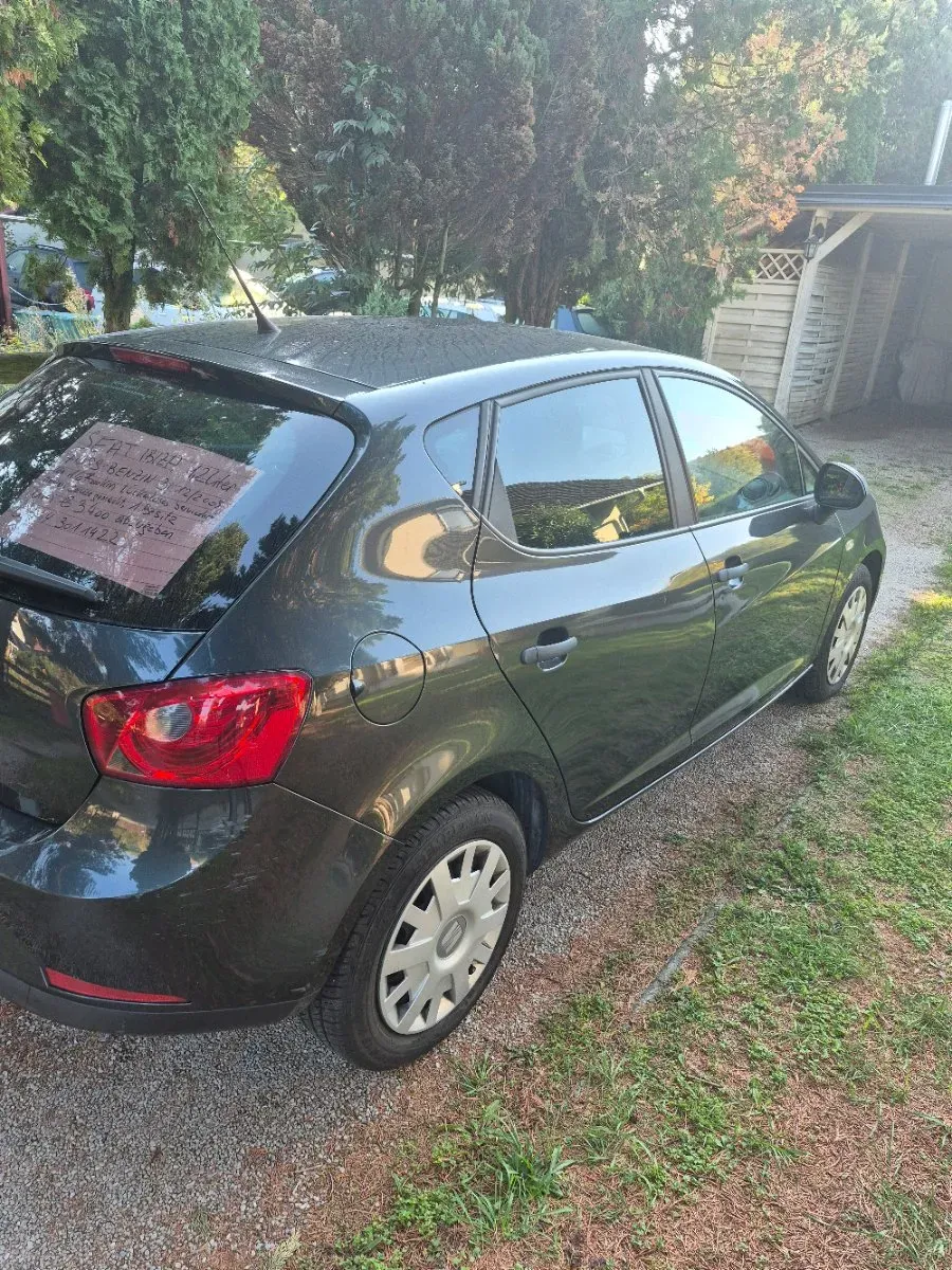 Seat Ibiza 2009 photo 3