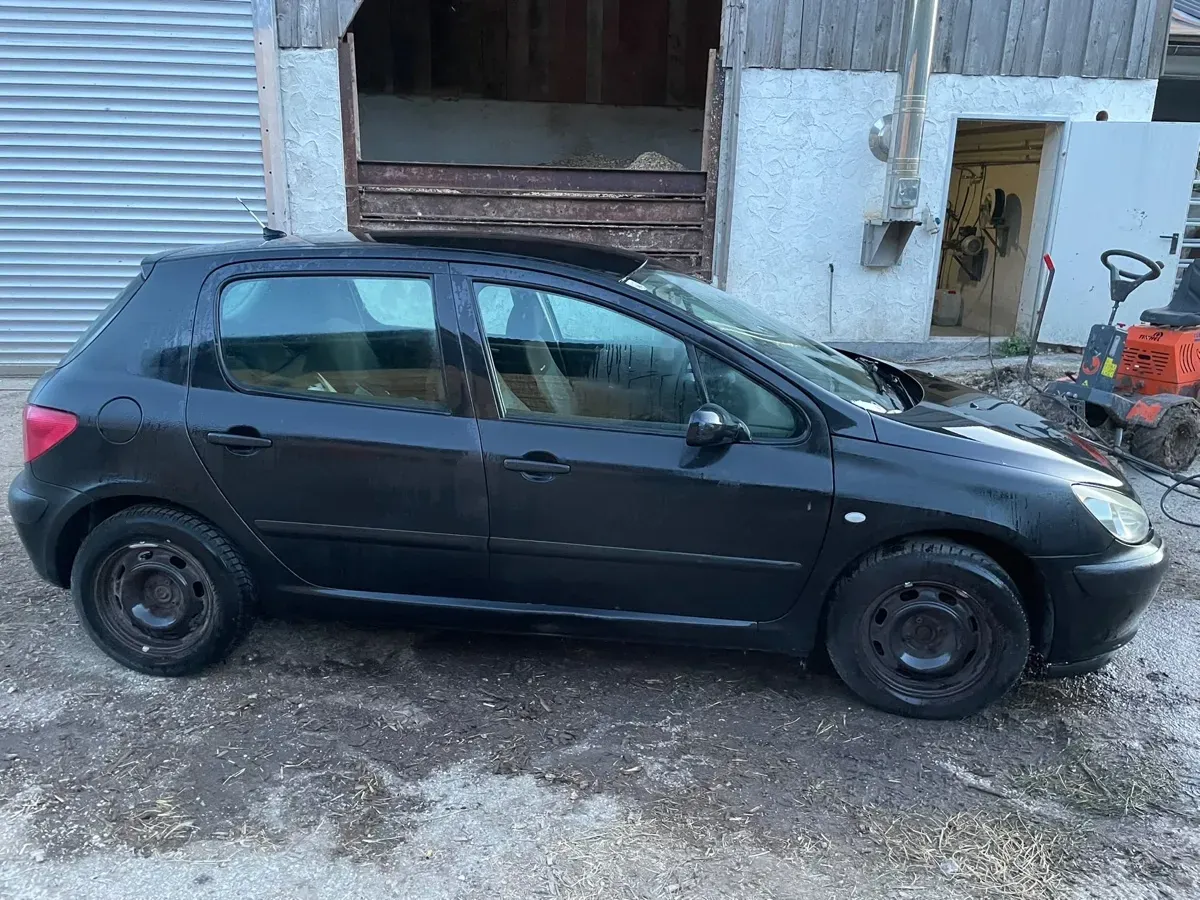 Peugeot 307 2003 photo 2