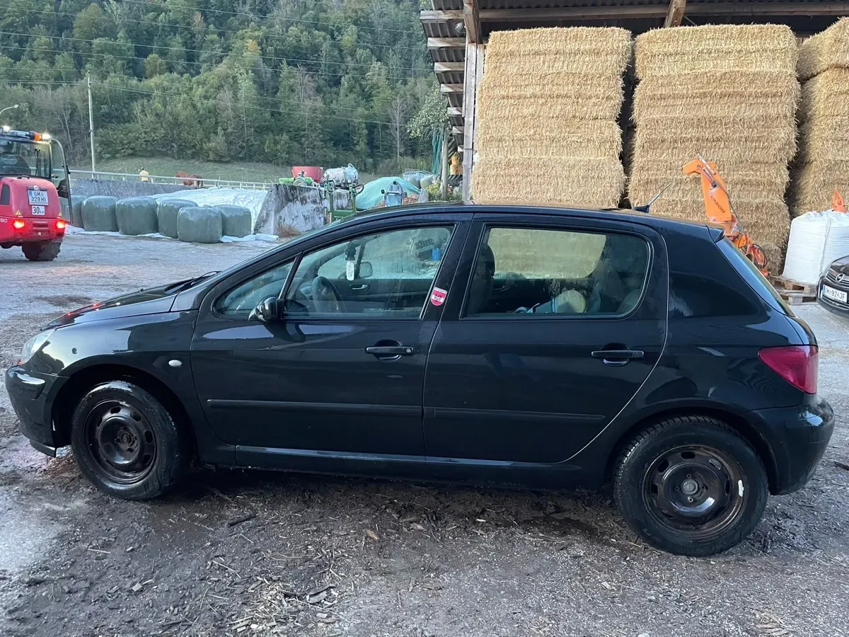 Peugeot 307 2003 photo 3