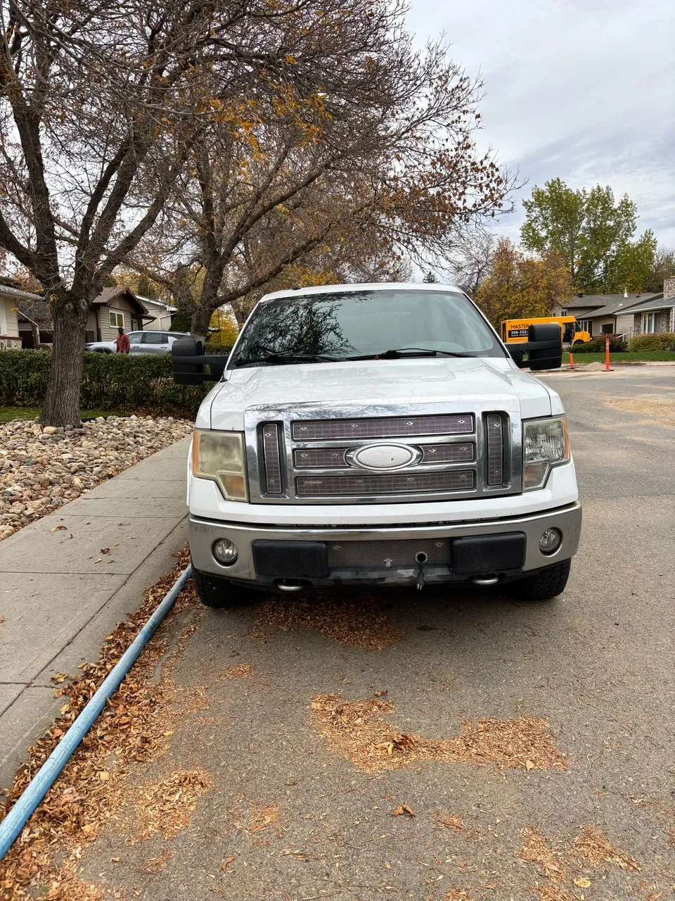 Ford F-150 2009 photo 3