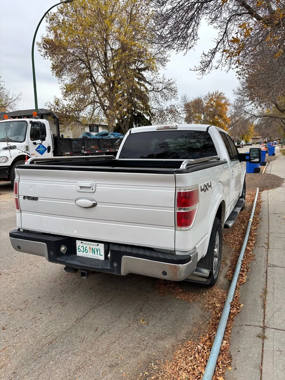 Ford F-150 2009 photo 2
