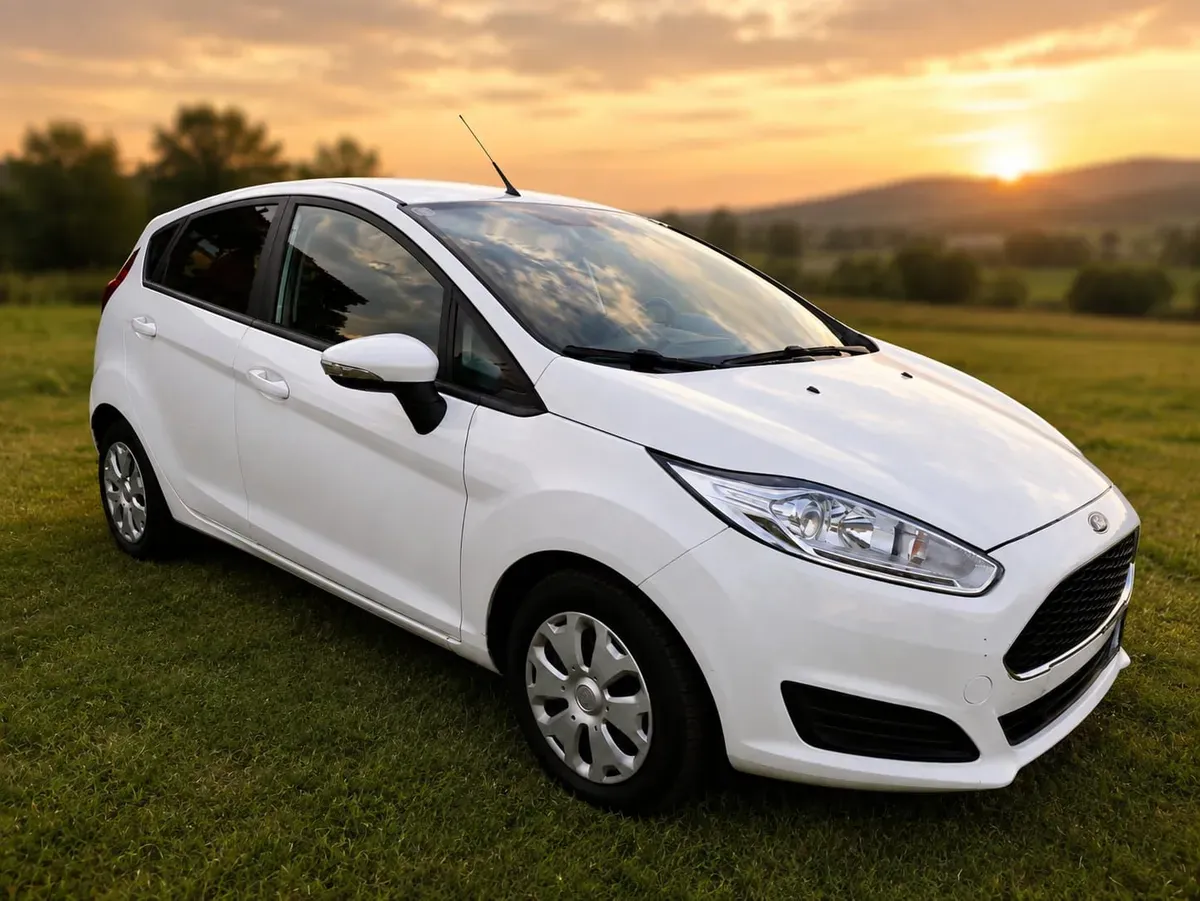 Ford Fiesta 2016 photo 2