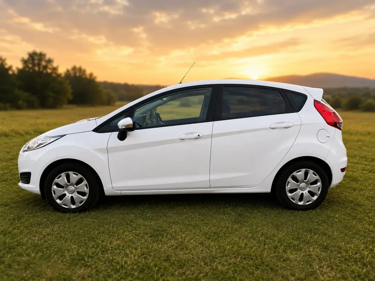 Ford Fiesta 2016 photo 3