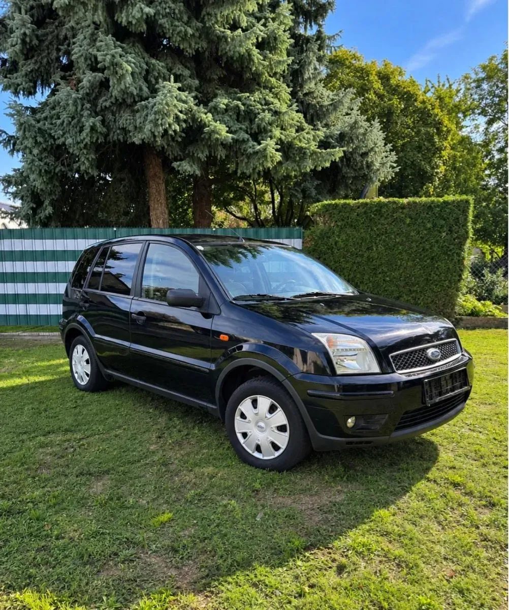 Ford Fusion 2004 photo 2
