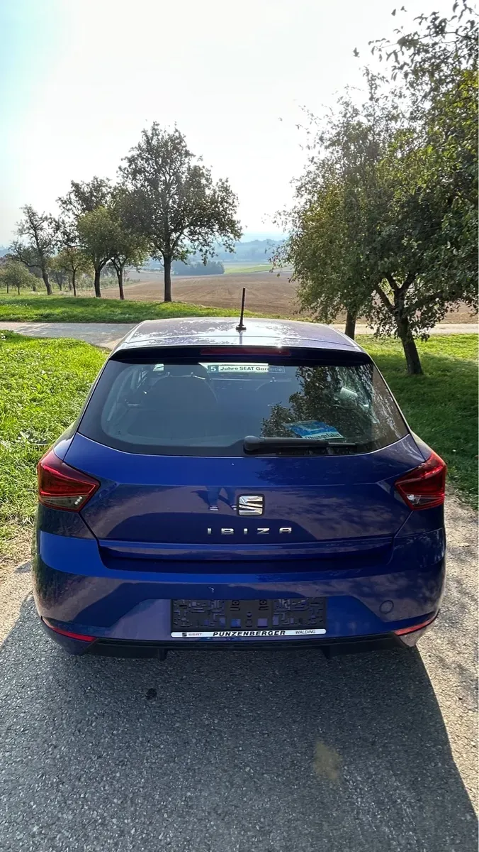 Seat Ibiza 2020 photo 3