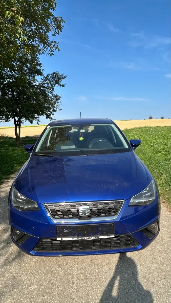 Seat Ibiza 2020 photo 2
