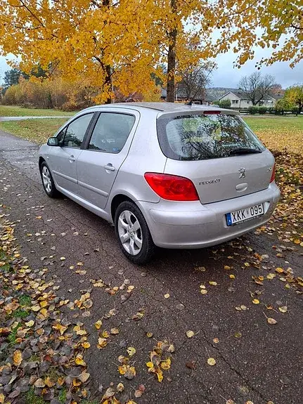 Peugeot 307 2006 photo 4