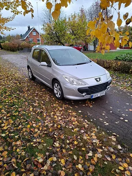 Peugeot 307 2006 photo 2