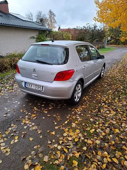 Peugeot 307 2006 photo 3