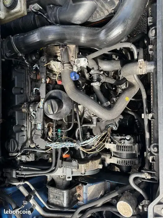 Peugeot 307 2002 photo 3