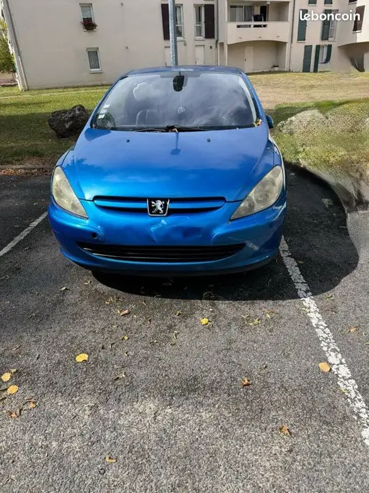 Peugeot 307 2002 photo 2