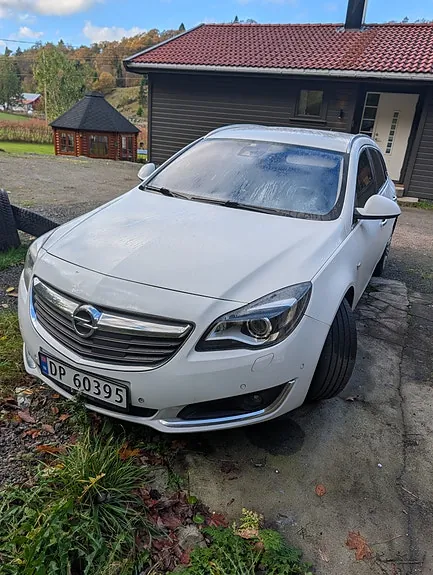 Opel Insignia 2014 photo 2