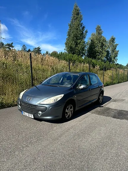 Peugeot 307 2007 photo 3