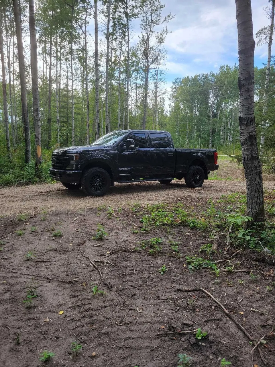Ford F350 2022 photo 5