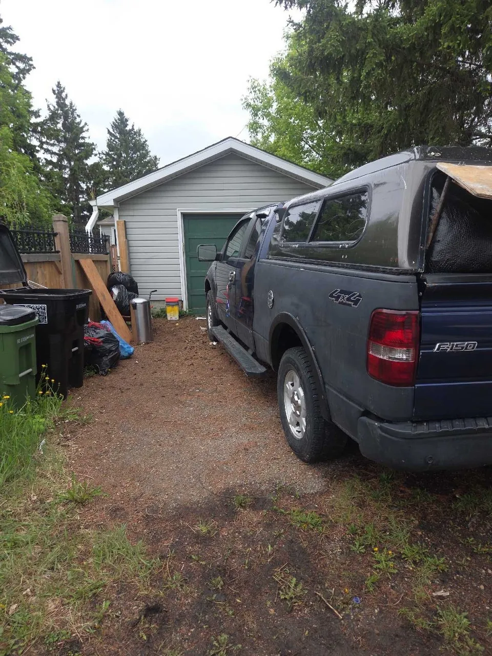 Ford F-150 2007 photo 3