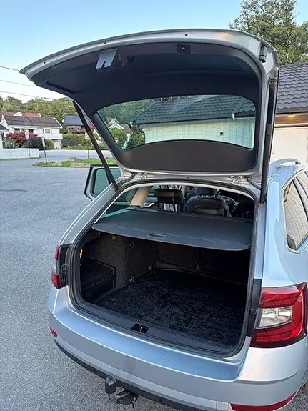 Skoda Octavia 2020 photo 5