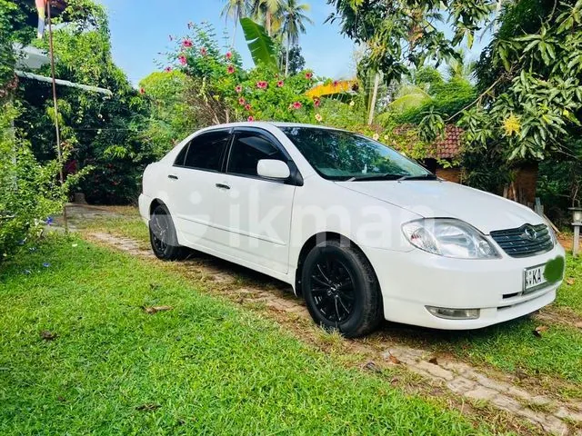 Toyota Corolla 2001 photo 2