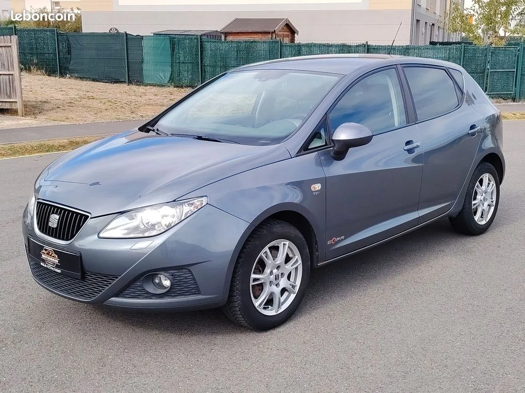 Seat Ibiza 2012 photo 2