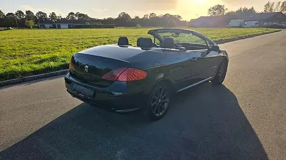 Peugeot 307 2005 photo 5
