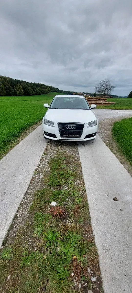 Audi A3 2010 photo 2