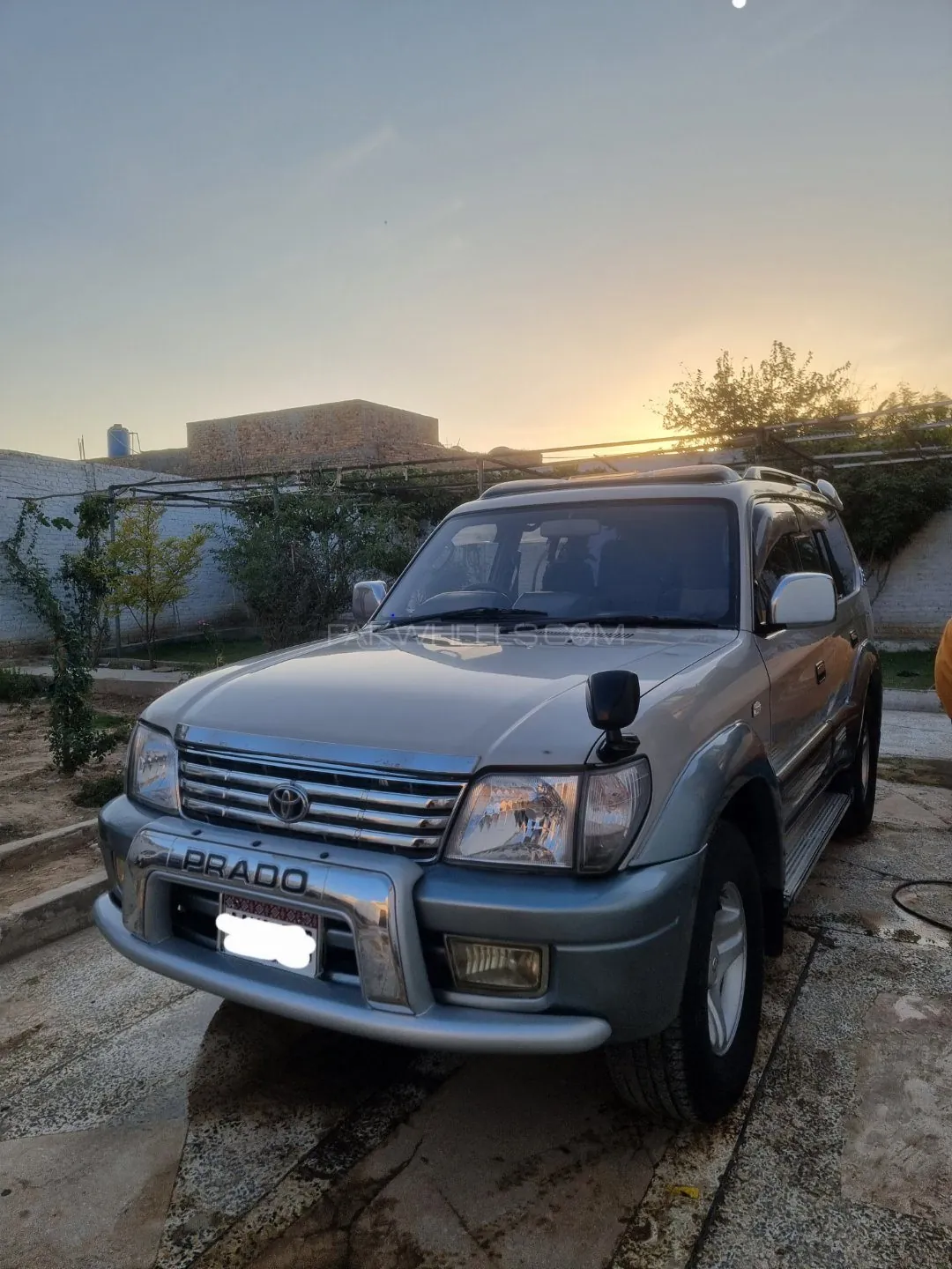Toyota Prado