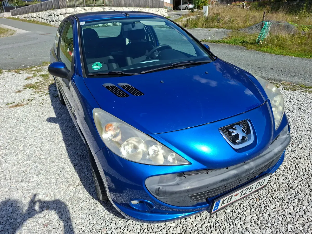 Peugeot 206 2010 photo 2