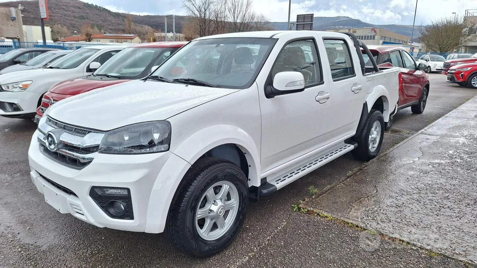 Great Wall Steed